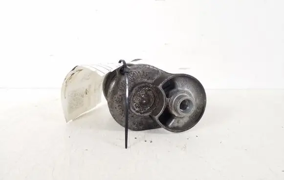 Volkswagen PASSAT CC Timing belt/chain tensioner 038903315AH