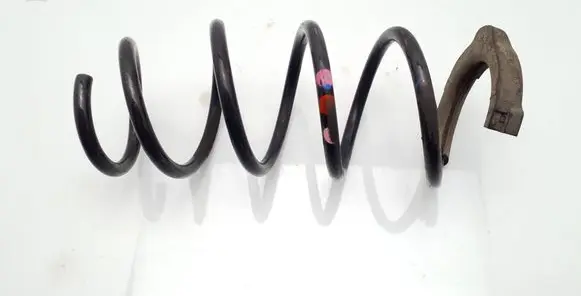Rear coil spring
