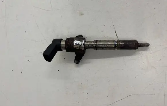 Ford S-MAX Fuel injector 020018