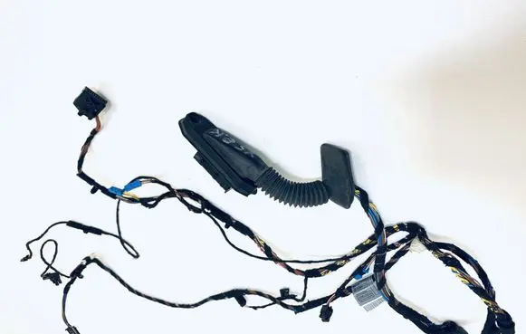 BMW X5 E70 Front door wiring loom 6937276 69372769116974