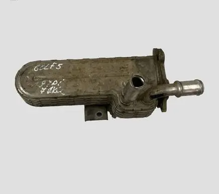 Volkswagen Golf V EGR valve cooler 038131513AP 3218275 343500908