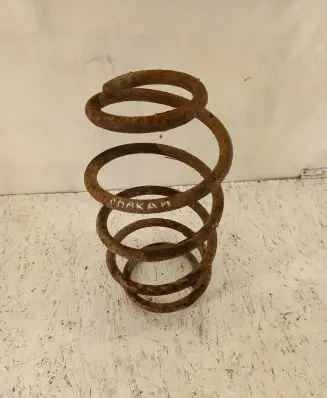 Front coil spring