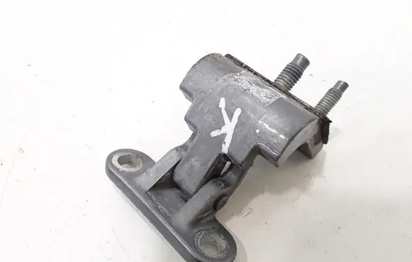 Volkswagen PASSAT B5.5 Tailgate/trunk/boot hinge