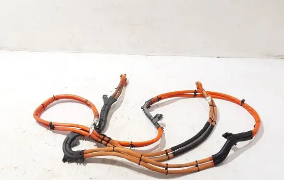 Porsche Panamera (971) Other wiring loom 971971015J
