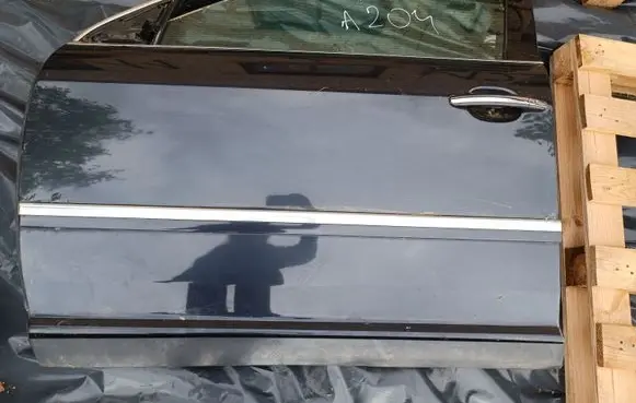 Volkswagen Phaeton Front door 3D1959701H