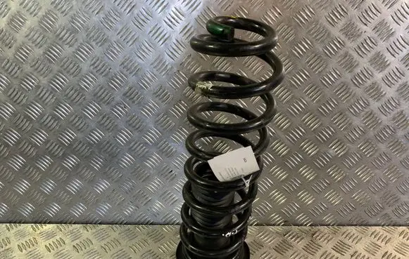 Front coil spring