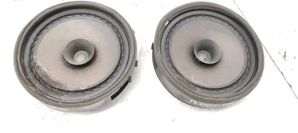 Rear door speaker