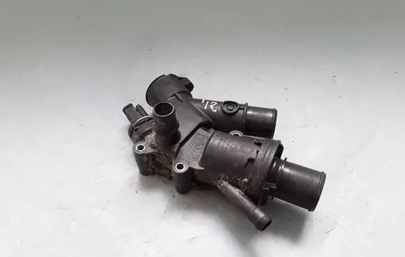 Thermostat/thermostat housing