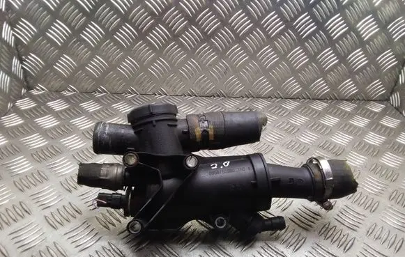 Thermostat/thermostat housing