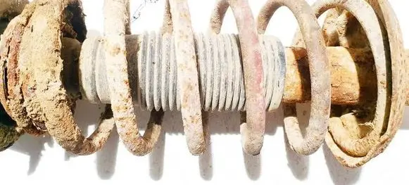 Front coil spring
