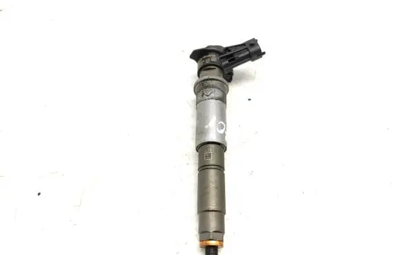 Renault Laguna III Fuel injector 0445115007 H82409398