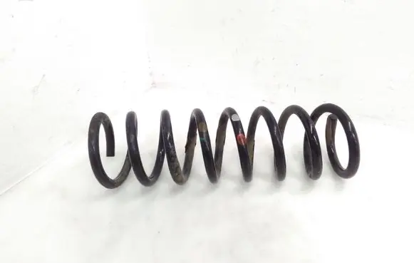 Rear coil spring