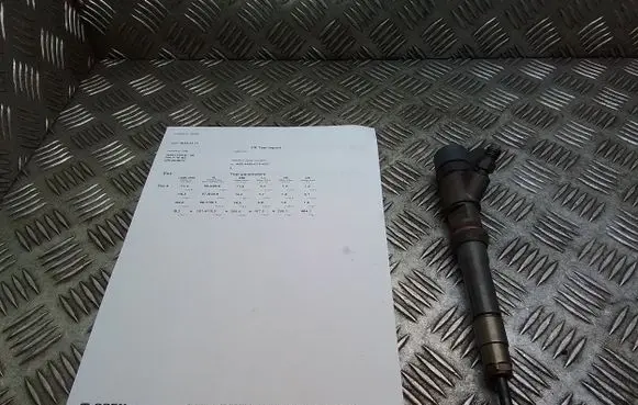 Fiat Ducato Fuel injector 0445110418 504389548