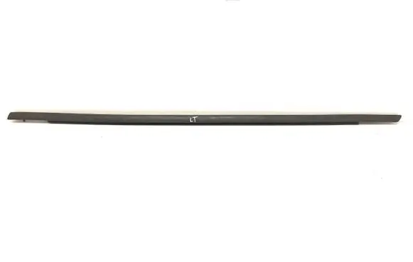 Ford Focus Loading door glass trim molding 
