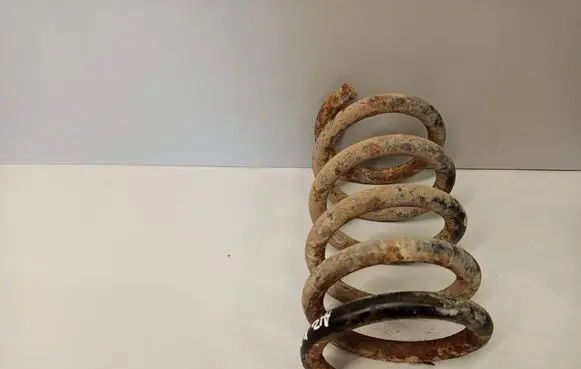 Mitsubishi Pajero Rear coil spring