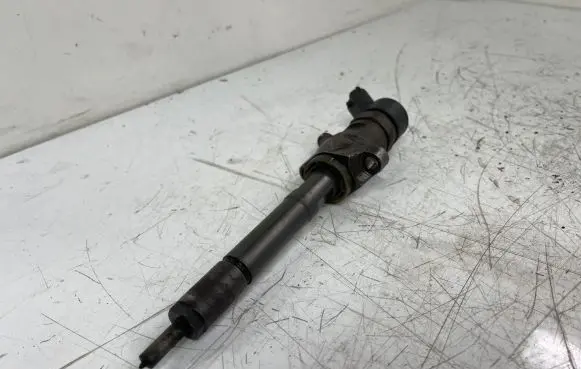 Citroen Berlingo Fuel injector 0445110239 606680