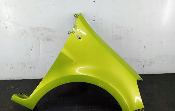 Renault Clio III Fender D8200325171TEDN0