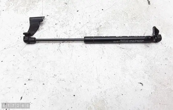 Chevrolet Captiva Rear window strut damper 82553891300