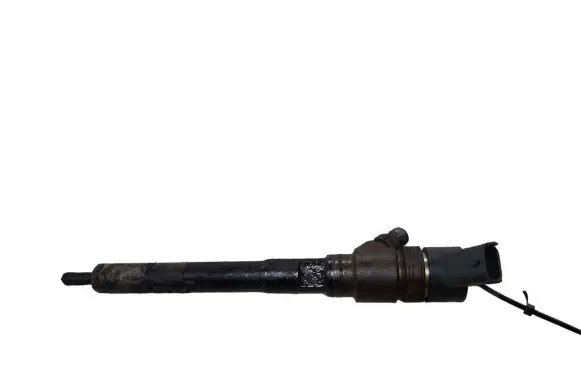 KIA Carens II Fuel injector 0445110258 3380027400