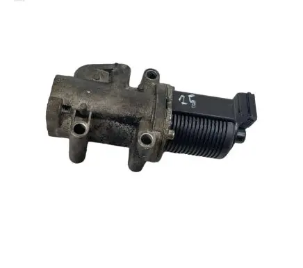 Opel Vectra C EGR valve 50024005