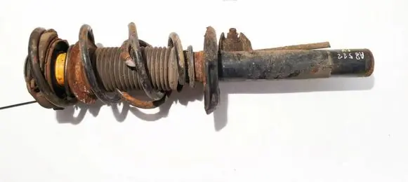 Skoda Octavia Mk2 (1Z) Front shock absorber/damper 334834