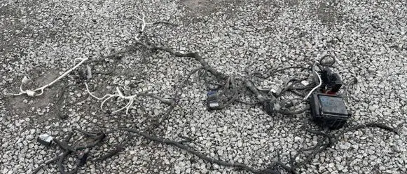Buick Enclave II Other wiring loom 84290064