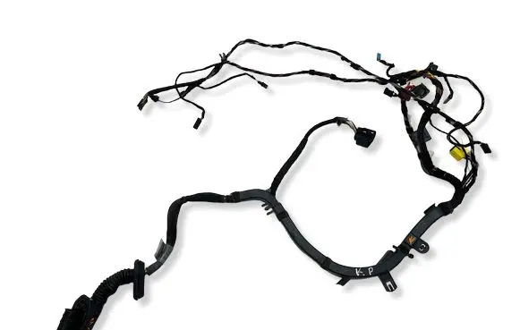BMW 6 E63 E64 Front door wiring loom 6928431