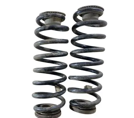 Rear coil spring