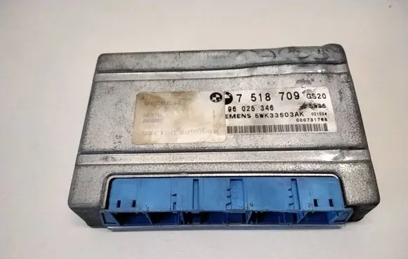 BMW X5 E53 Gearbox control unit/module 96025346 5WK33503AK 7518709