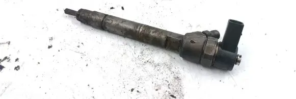 Mercedes-Benz E W211 Fuel injector 25053877060