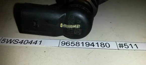 Citroen C5 Fuel injector 9658194180 40261 5WS40441