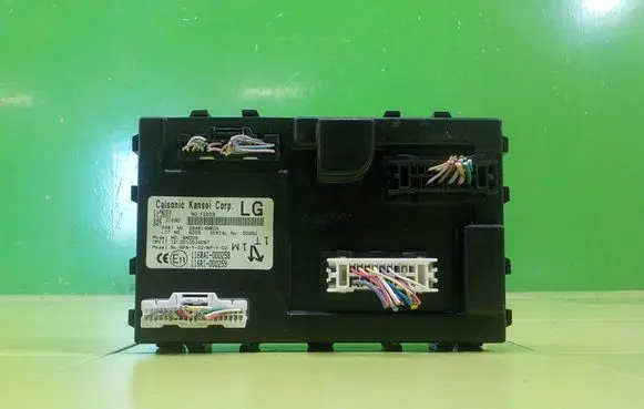 Nissan Leaf I (ZE0) Central body control module 2010DJ4087
