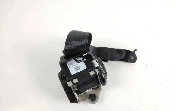 Tesla Model 3 Rear seatbelt 1110154C1G