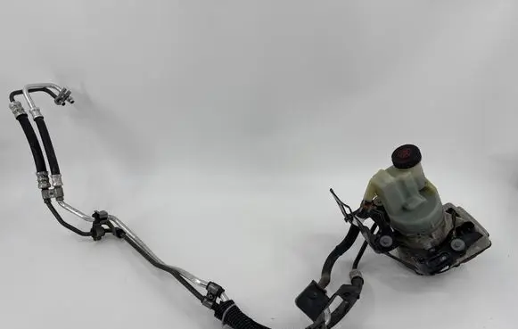 Electric power steering pump