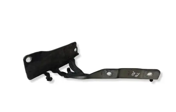 KIA Optima Engine bonnet/hood hinges 