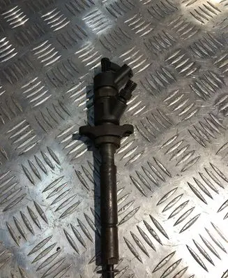 Volvo V70 Fuel injector 0445110259 328480