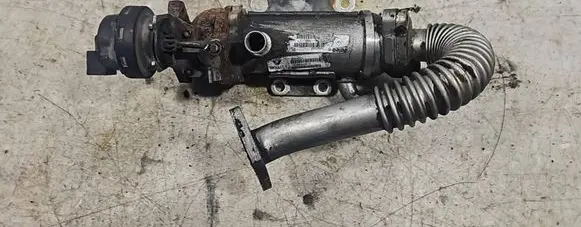 Renault Trafic II (X83) EGR valve cooler 876481V