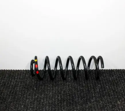 Ford Transit - Tourneo Connect Rear coil spring