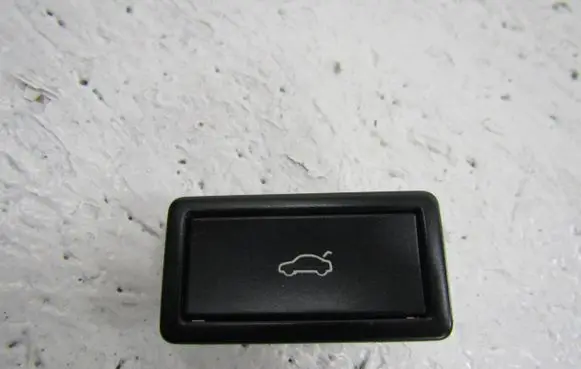 Volkswagen PASSAT B6 Tailgate/boot open switch button 3C0959831A