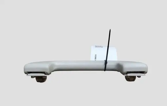Nissan Leaf I (ZE0) Front interior roof grab handle OM9H3