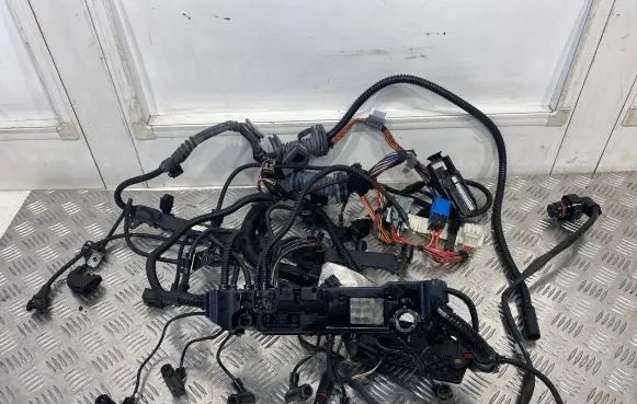 Engine installation wiring loom