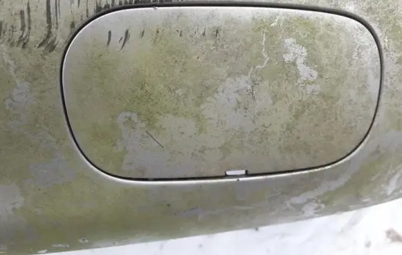 Renault Espace III Rear bumper row hook cap/cover 