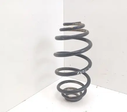 Rear coil spring