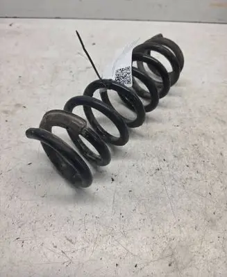 Hyundai Sonata Rear coil spring 1234