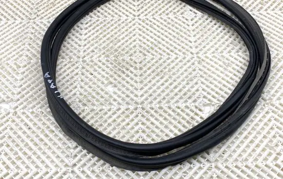Peugeot 3008 II Rubber seal front door (on door) 