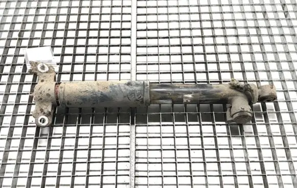 Opel Insignia A Rear shock absorber/damper 13319753