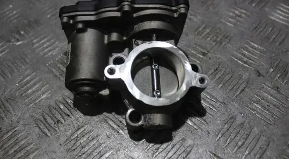 Dacia Sandero Throttle valve 161204132