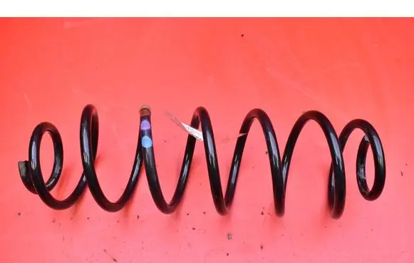 Rear coil spring