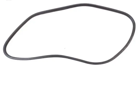 Mini Cooper Countryman F60 Front door rubber seal 7390091
