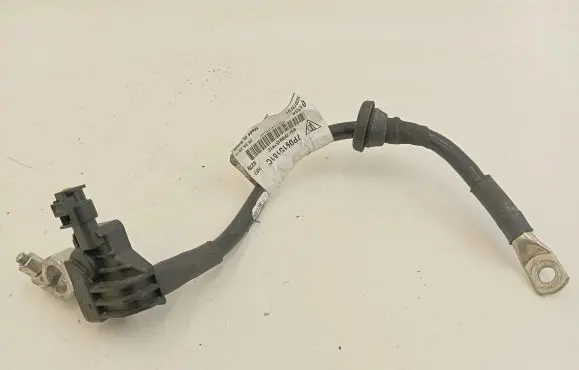 Porsche Cayenne (92A) Negative earth cable (battery) 7P0915181C